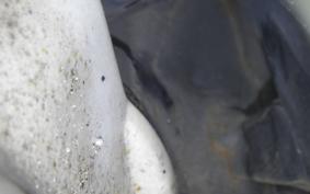 HONDA GYRO CANOPY 1999 TA03