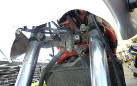YAMAHA RZ250RR 29L