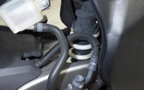 HONDA CBR250RR 2025 MC51