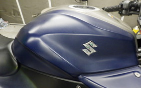 SUZUKI ｼﾞｸｻｰ250SF 2023 ED22Y