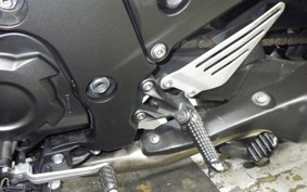 KAWASAKI ZX 1400 NINJA R A 2019