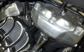 HARLEY FXST1750 2021