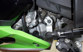 KAWASAKI ZX-4RR 2023 ZX400P