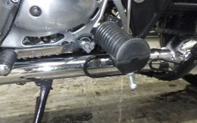 KAWASAKI W800 2024 EJ800E