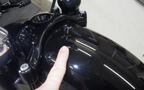 HARLEY XL1200X 2012