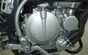 KAWASAKI KLX250 2022 LX250E