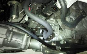 HONDA GYRO CANOPY 2024 TA03