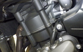 TRIUMPH TRIDENT 660 2023