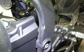 KAWASAKI ZX-4RR 2024 ZX400P