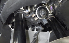 YAMAHA YZF-R3 2021 RH13J