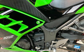 KAWASAKI NINJA 250 ABS SE EX250L