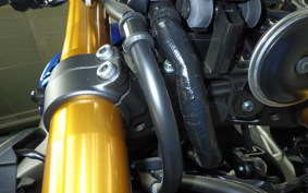 YAMAHA XSR900 2023 RN80J