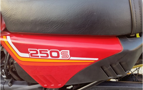 SUZUKI DR250 S SJ41A