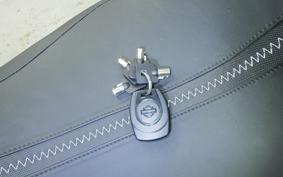 HARLEY FLTRX1920 2024