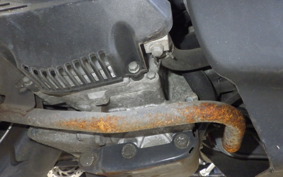 HONDA GIORNO CREA AF54