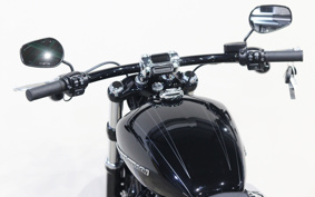 HARLEY FXBRS 2022 YHK