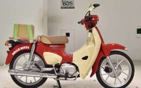 HONDA C110 SUPER CUB 2009 JA59