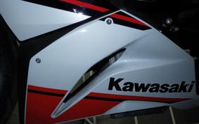KAWASAKI NINJA ZX-6R A 2021 ZX636G