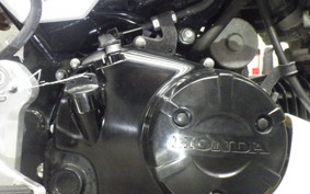 HONDA GROM