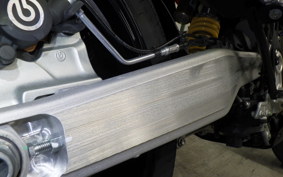 DUCATI HYPERMOTARD698 2024