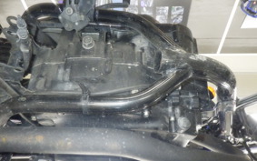 KAWASAKI 250TR 2021 BJ250F