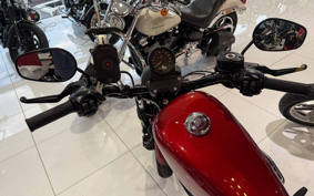 HARLEY XL883N 2019 LE2