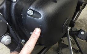 OTHER ENFIELD CLASSIC 350 2023