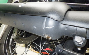 OTHER ENFIELD BULLET 350 2024