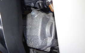 HONDA C110 SUPER CUB