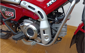 HONDA CT125 HUNTER CUB JA65