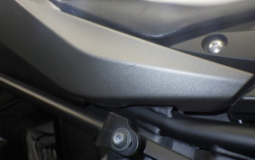 YAMAHA MT-25 2022 RG43J