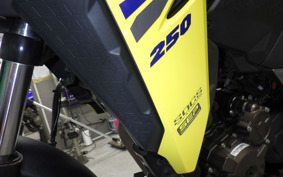SUZUKI Vｽﾄﾛｰﾑ250SX 1993 EL11L