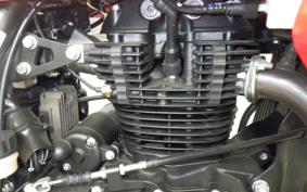 OTHER +ENFIELD ｽｸﾗﾑ411 2024