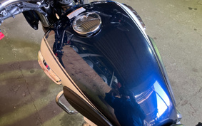 TRIUMPH SCRAMBLER 2025 D5BG25