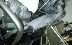 HONDA C50 SUPER CUB 2025 AA09