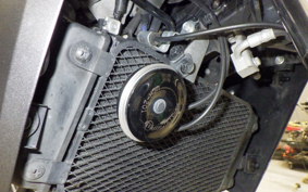 SUZUKI Vｽﾄﾛｰﾑ250A 2022