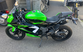 KAWASAKI Ninja 250SL BX250A