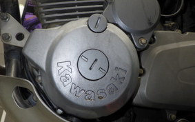 KAWASAKI SUPER SHERPA 2020 KL250G