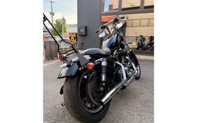 HARLEY XL1200L 2006 CX3
