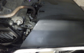 HONDA TACT Basket 2020 AF79
