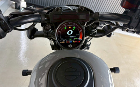 HARLEY RH975S NIGHT STAR 2024 ZF1
