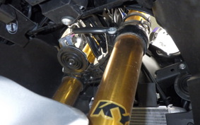 YAMAHA YZF-R15M