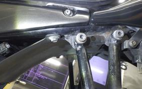 SUZUKI GOOSE 250 2020 NJ46A