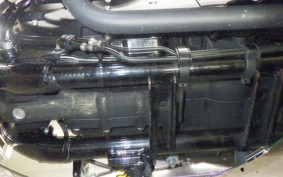 OTHER +HD. XL1200X 2019