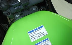 KAWASAKI NINJA ZX-6R A 2022 ZX636G