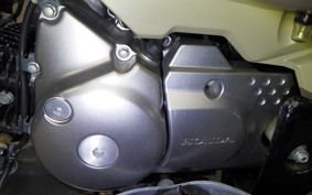 HONDA CT125 HUNTER CUB 2025 JA55