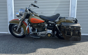 HARLEY FLH 2002 AJK