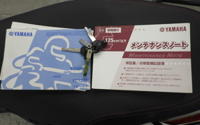 YAMAHA AXIS 125 TREET 2018 SE53J