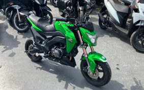 KAWASAKI Z125 PRO BR125H