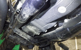 OTHER +HD. XL1200C-I 2018